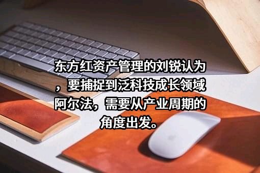天津东方红商贸有限公司