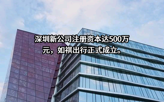 广州祺宸科技有限公司