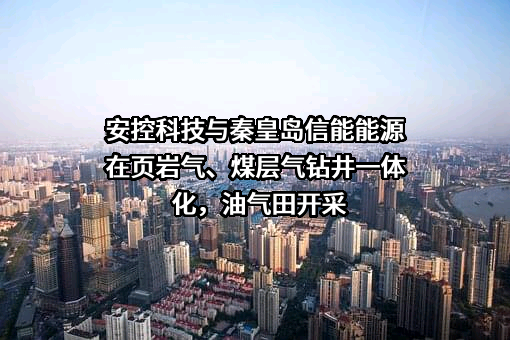 秦皇岛信能能源设备有限公司