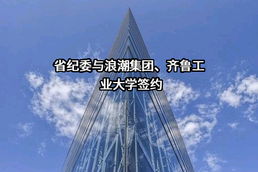 浪潮集团有限公司