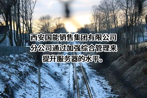 国能销售集团有限公司西安分公司