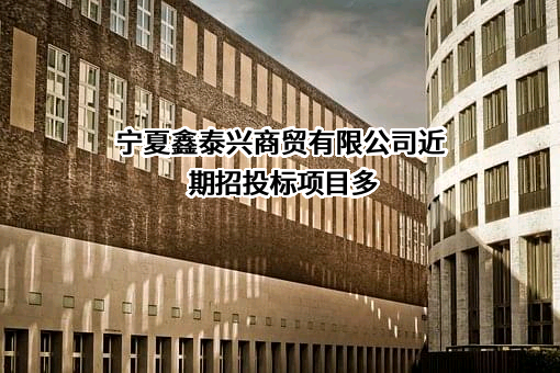 宁夏鑫泰兴商贸有限公司