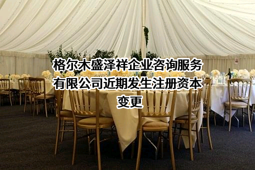 格尔木盛泽祥企业咨询服务有限公司