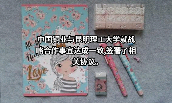 中国铜业有限公司
