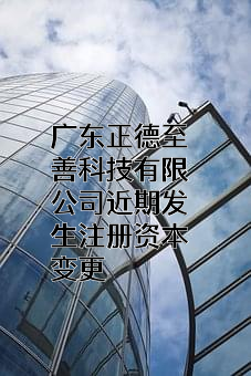 广东正德至善科技有限公司