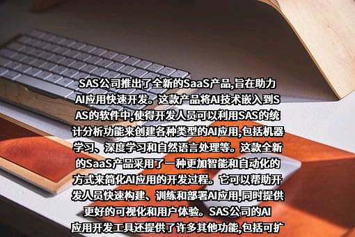 赛仕软件(北京)有限公司