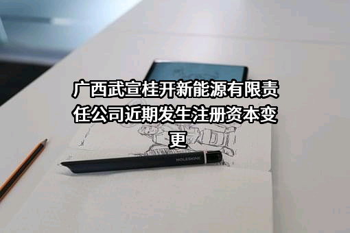 广西武宣桂开新能源有限责任公司