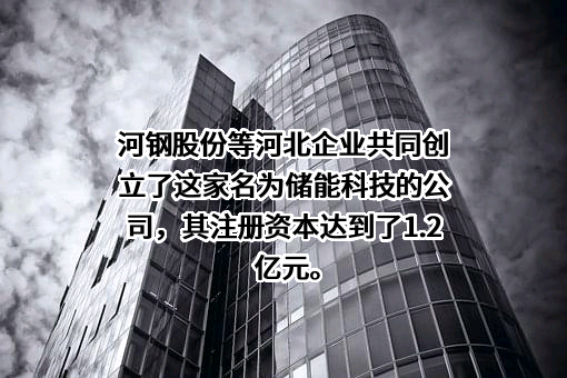 河钢股份有限公司