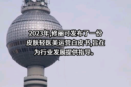 普华永道思略特管理咨询（上海）有限公司