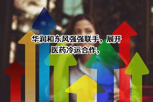 东风汽车股份有限公司