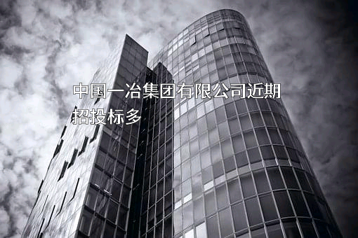 中国一冶集团有限公司