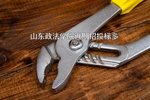 山东政法学院