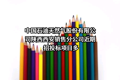 中国石油天然气股份有限公司陕西西安销售分公司