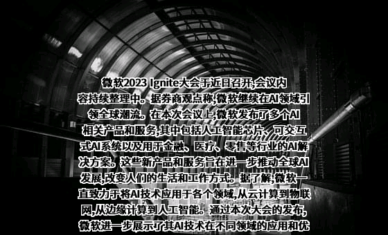 微软（中国）有限公司