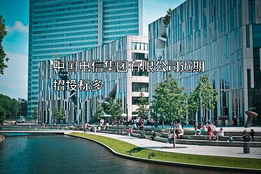 中国电信集团有限公司