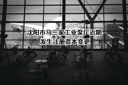 沈阳市马三家工业泵厂