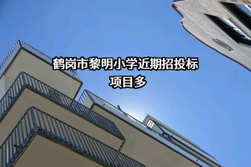 鹤岗市黎明小学