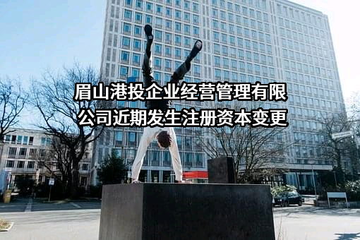 眉山港投企业经营管理有限公司