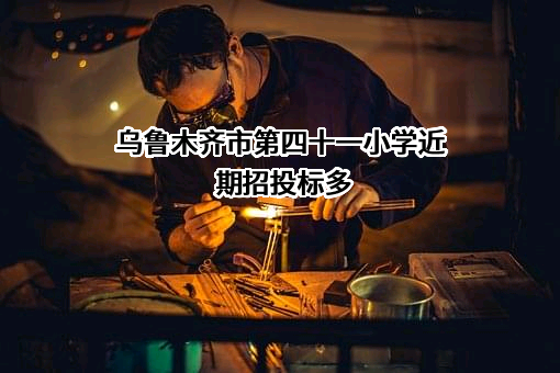 乌鲁木齐市第四十一小学