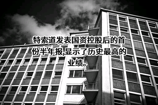 武汉三特索道集团股份有限公司