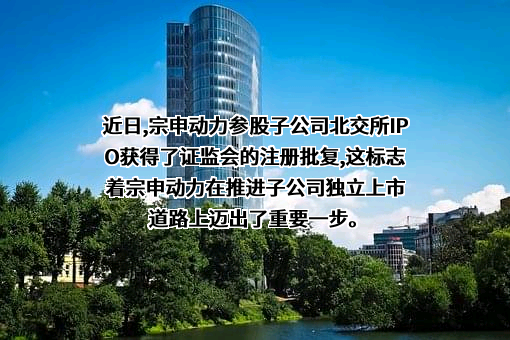 重庆宗申动力机械股份有限公司