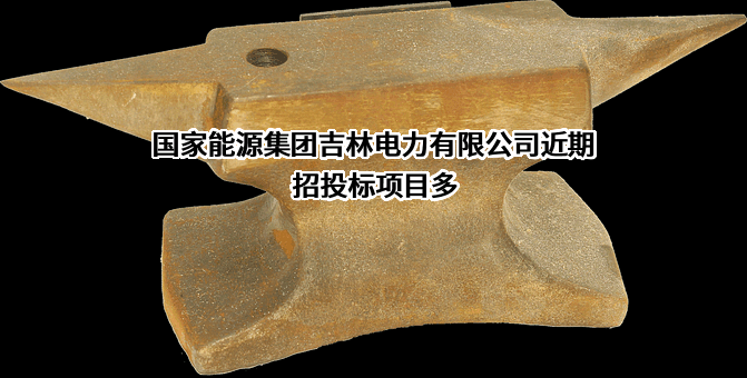 国家能源集团吉林电力有限公司