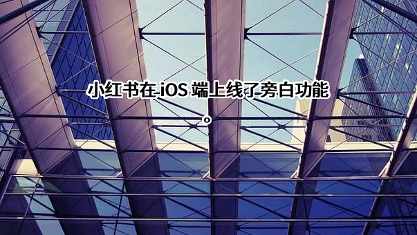 行吟信息科技（上海）有限公司