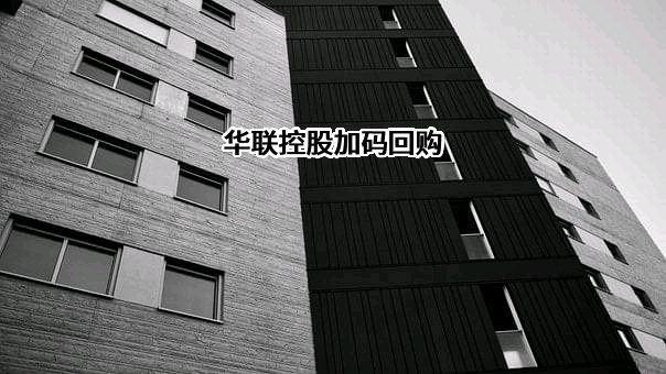 华联控股股份有限公司
