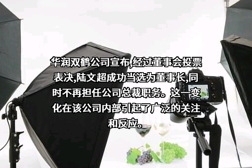 华润双鹤药业股份有限公司