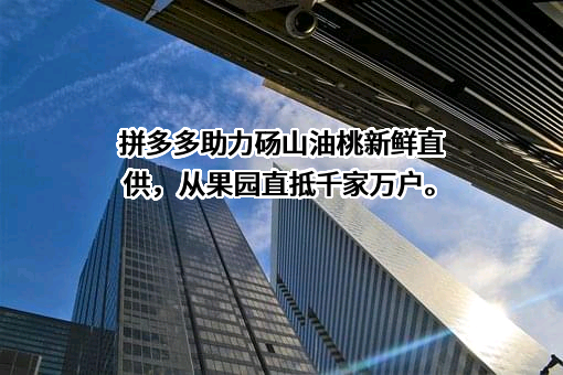 上海寻梦信息技术有限公司