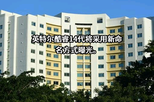 英特尔（中国）有限公司