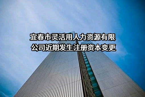 宜春市灵活用人力资源有限公司