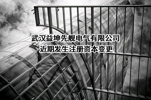 武汉益坤先舰电气有限公司