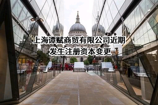 上海谭赋商贸有限公司