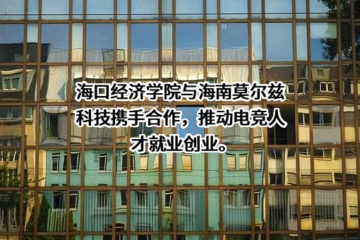海南莫尔兹科技有限公司
