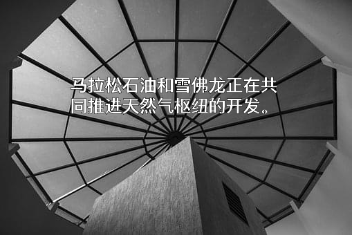 雪佛龙（中国）投资有限公司