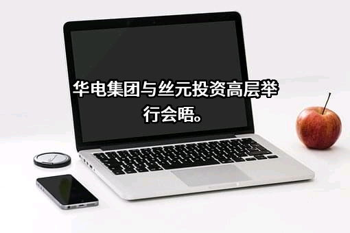 丝元投资有限责任公司