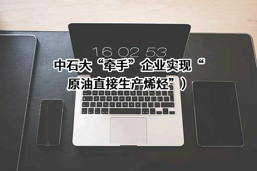 山东东明石化集团有限公司