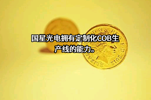 佛山市国星光电股份有限公司