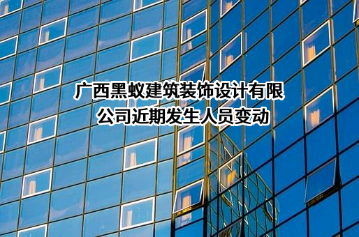 广西黑蚁建筑装饰设计有限公司