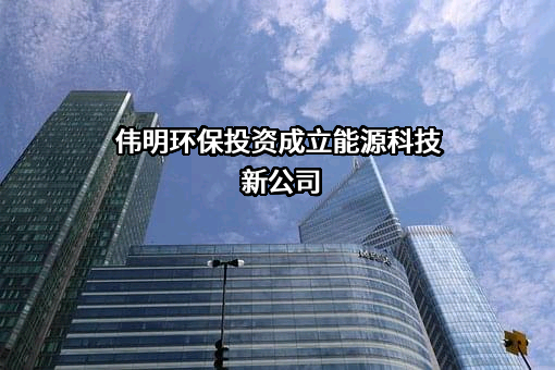 浙江伟明环保股份有限公司