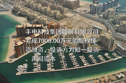 丰电科技集团股份有限公司
