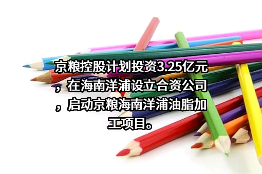 国投洋浦港有限公司