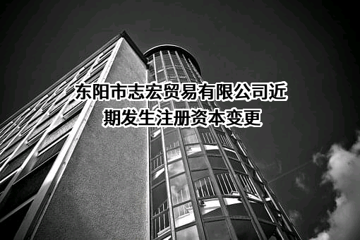 东阳市志宏贸易有限公司