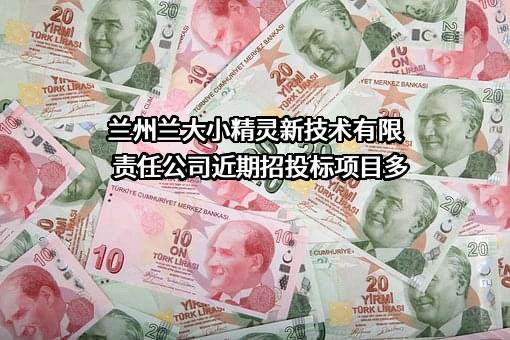 兰州兰大小精灵新技术有限责任公司