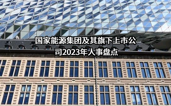 国电电力发展股份有限公司