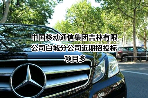 中国移动通信集团吉林有限公司白城分公司