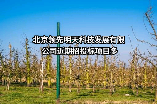 北京领先明天科技发展有限公司近期招投标项目多