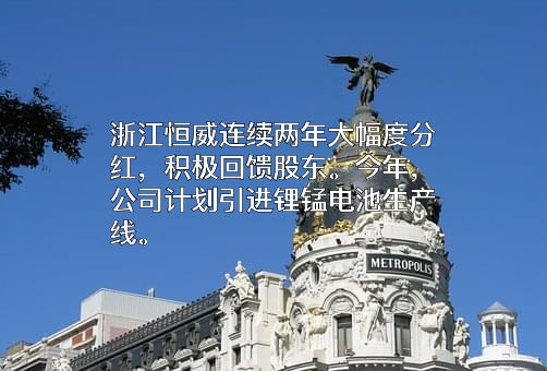浙江恒威电池股份有限公司