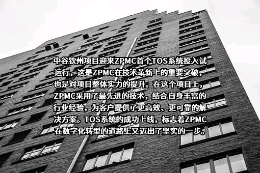 上海振华重工（集团）股份有限公司